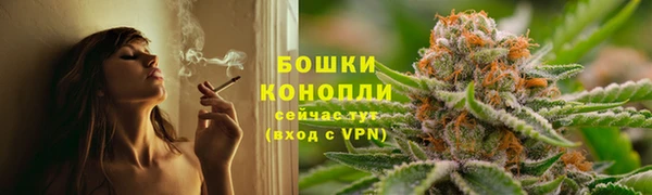 спиды Магас