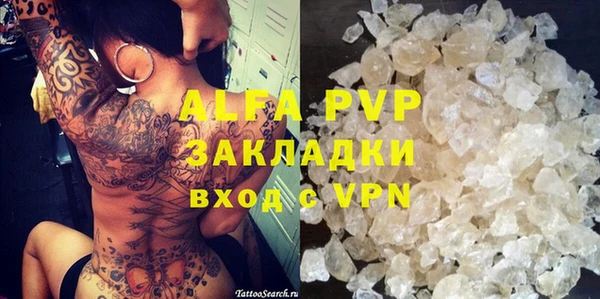 спиды Магас